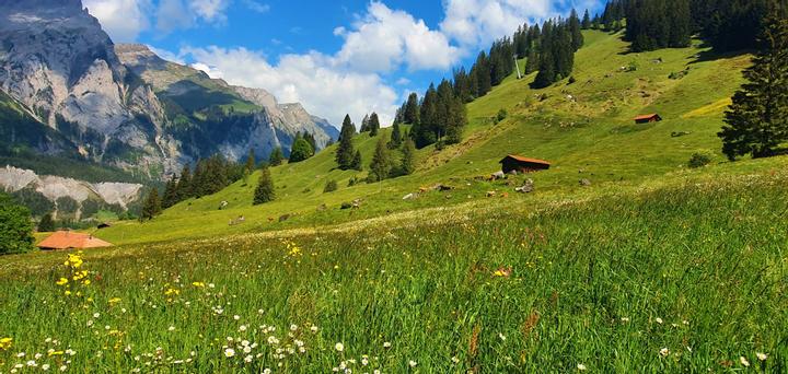 Regional hill landscape with houses of local food producers