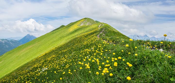 Der Grat eines grasbedeckten Hügels mit Bergen im Hintergrund